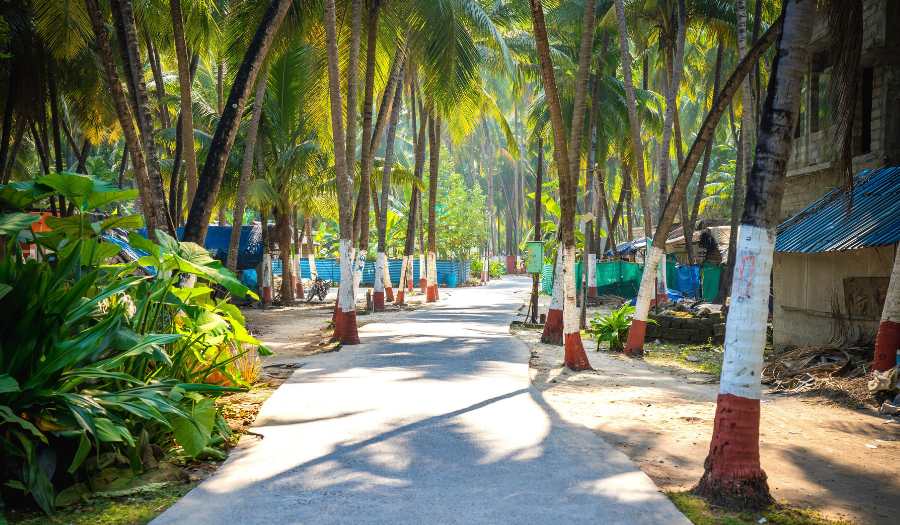 Explore Lakshadweep – 5D 4N